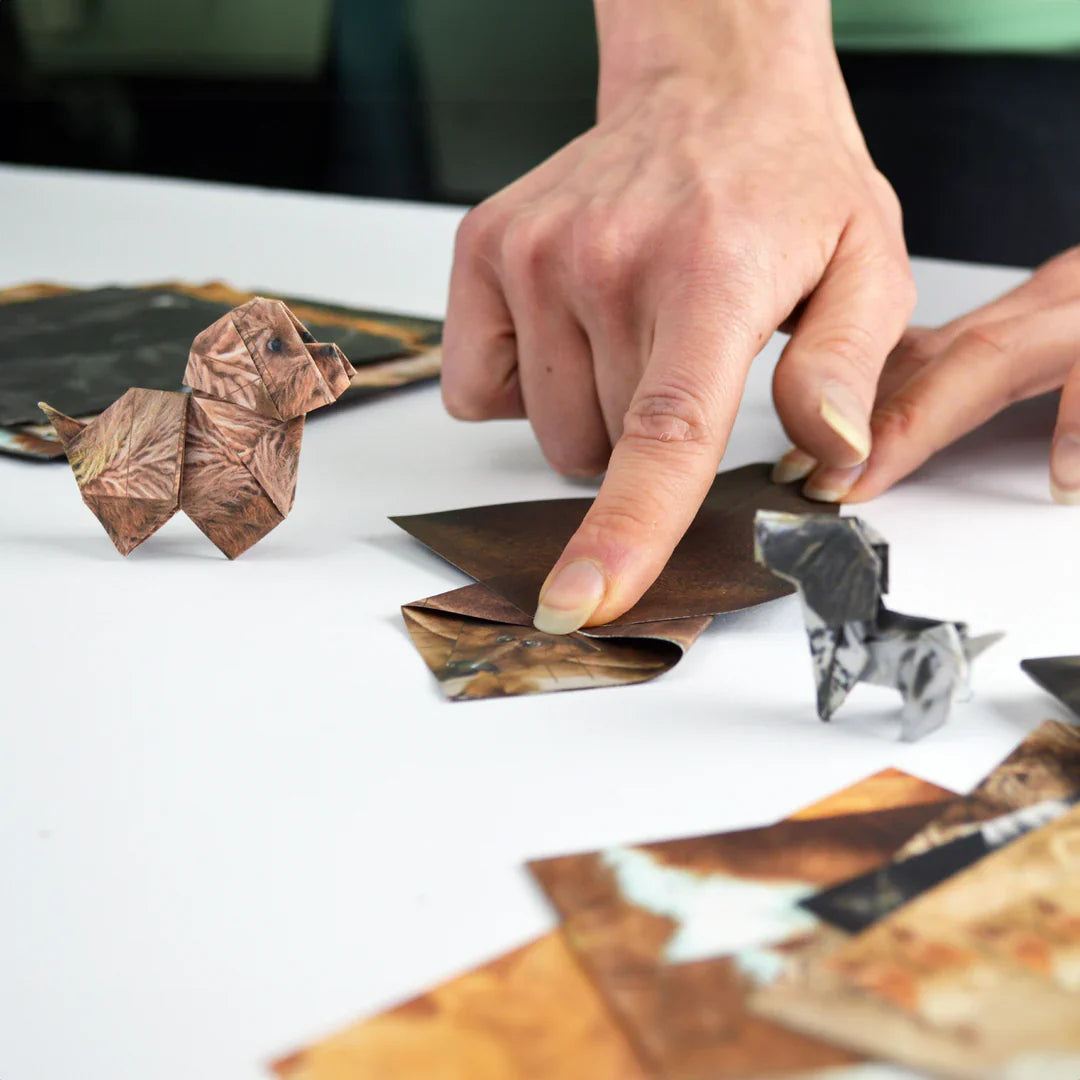 Paper Animals Cute DIY Origami Kit