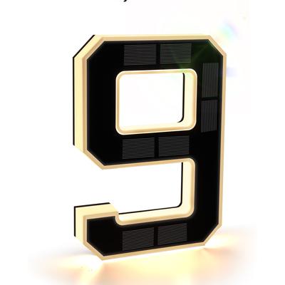 9 Inch Solar Lighted House Numbers for Outside
