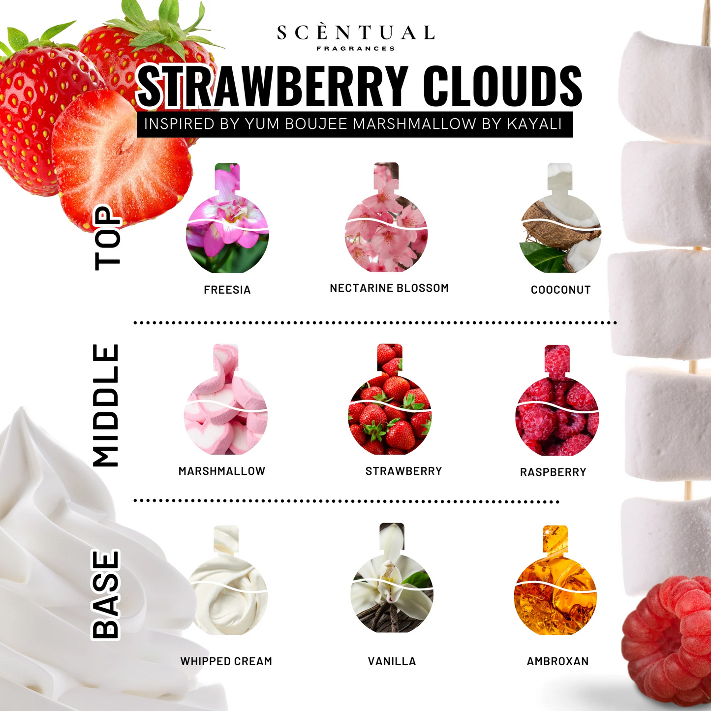 Ultra-Concentrated Perfume Mist 100ml – Sweet Long-Lasting Scent