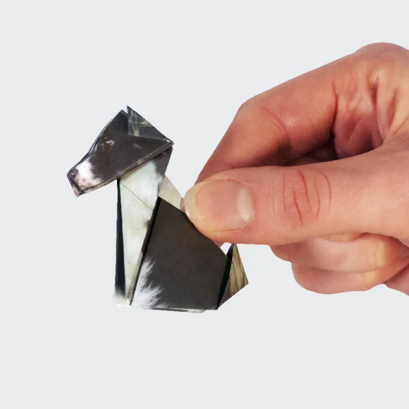 Paper Animals Cute DIY Origami Kit